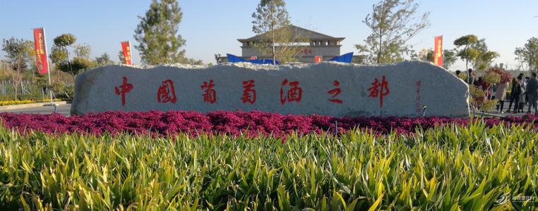 守護(hù)“中國(guó)葡萄酒之都”， 上百臺(tái)優(yōu)測(cè)溫設(shè)備應(yīng)用于新疆瑪納斯縣